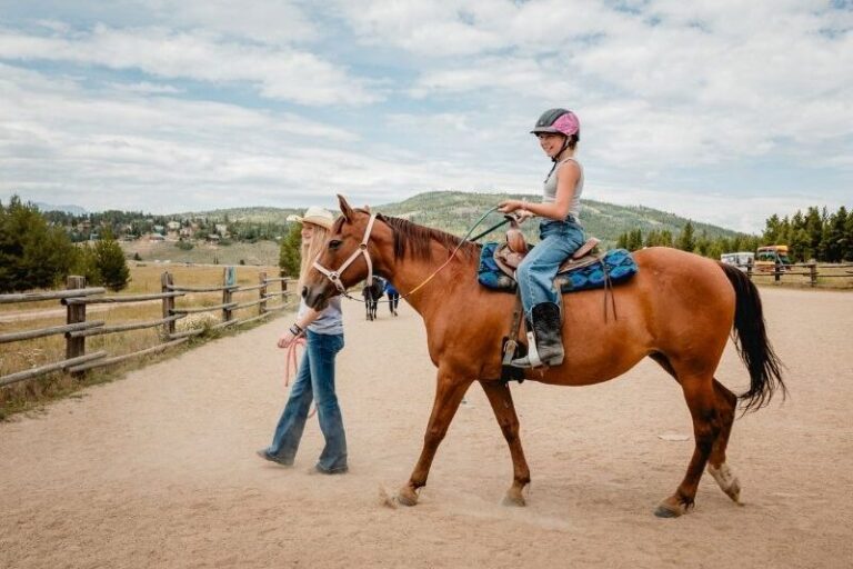 Horseback Riding Camp
